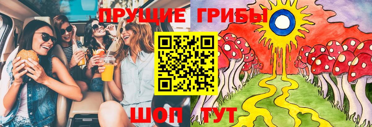 Отрадное  Псилоцибиновые грибы MAGIC MUSHROOMS  Псилоцибиновые грибы прущие грибы  как найти   Вход с VPN 
