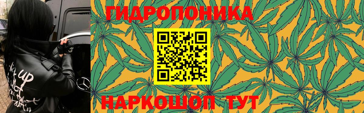 Шишки марихуана конопля Отрадное